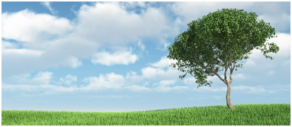 We ensure that the air you breathe is clean, healthy and odour free